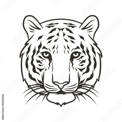 tiger head vector illustration graphic mascot