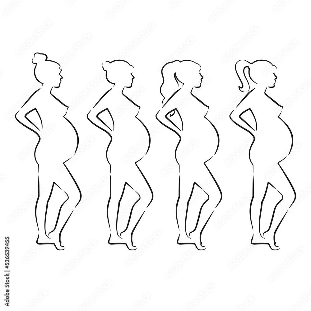 Line art pregnant women vector illustration Line art pregnant women vector illustration