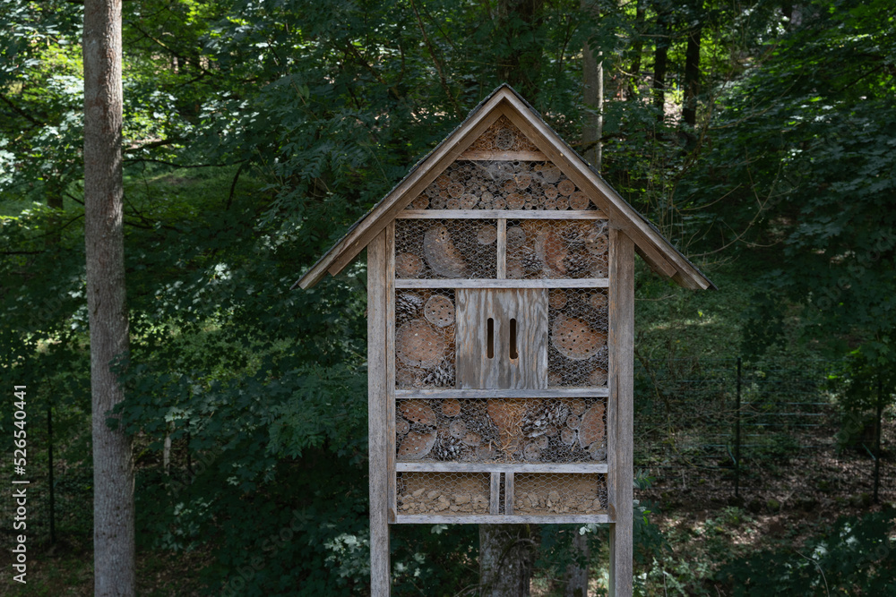 Insektenhotel aus Holz in der Fränkischen Schweiz, Bayern Insektenhotel aus Holz in der Fränkischen Schweiz, Bayern