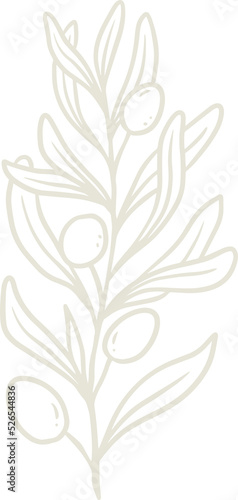 Olive plant illustration for badges and logo. Stamp labels for tag with isolated olive plant. Hand drawn natural for simple rustic design element. 