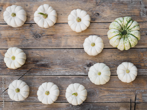 Happy Thanksgiving concept. Autumn composition with white pumpkins on wooden table. Flat lay  top view  copy space.