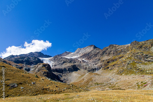 Le cime del Bernina