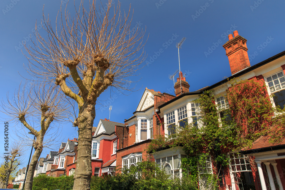 Obraz premium London row of houses with dormant trees.