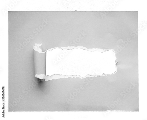 Obraz na plátně torn paper with the curled ripped sides