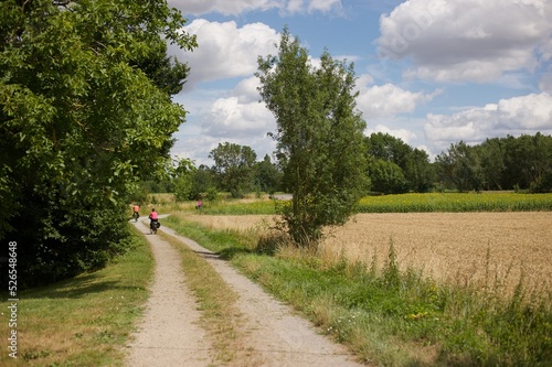 three bikers on a small road in countryside