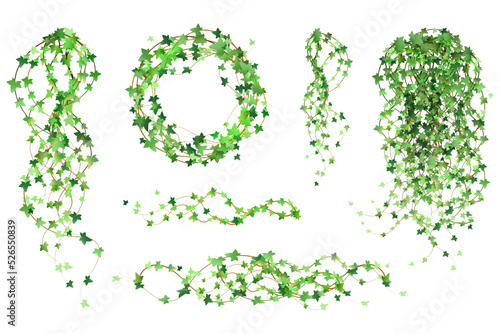 Green vine, creeper or ivy hanging from above or climbing the wall.Decoration for garden or home.Template on white background.