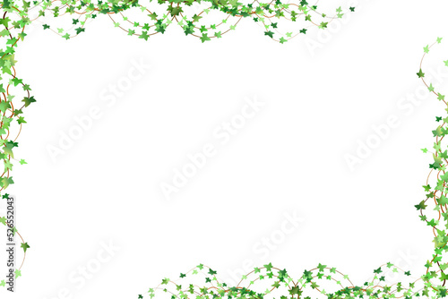 Green vine, creeper or ivy hanging from above or climbing the wall.Decoration for garden or home.Template on white background.