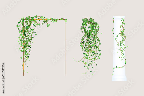 Green vine, creeper or ivy hanging from above or climbing the wall.Decoration for garden or home.Template on white background.