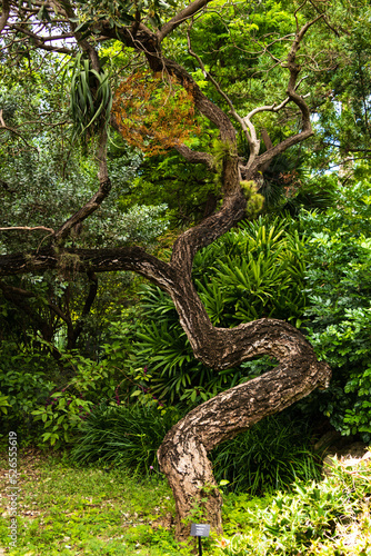 Paisaje