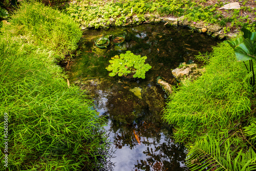 Paisaje
