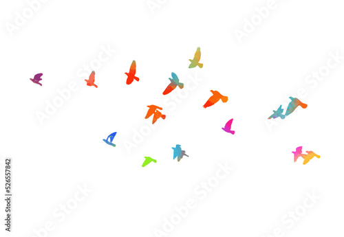Abstract multicolored flying birds. Mixed media. Vector illustration