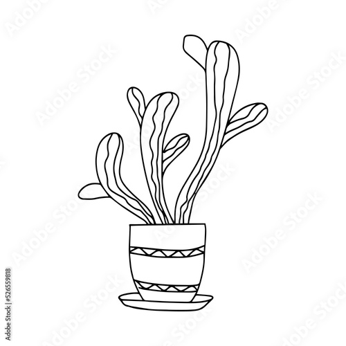 Indoor flower vector outline icon  hand drawn. Decorative drawing of a house plant in a pot for print  web and infographics on a white background.
