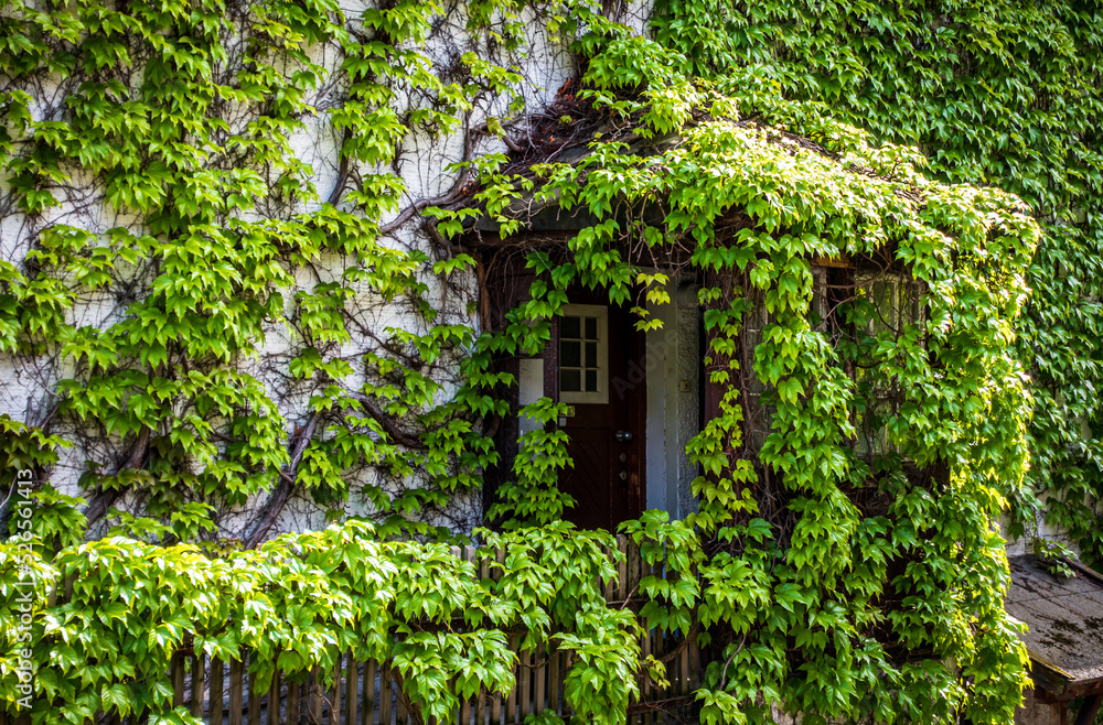 typical entrance and frontdoor of a house typical entrance and frontdoor of a house