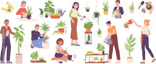 Hobby growing houseplants. Person planting and caring garden plant or grow houseplant in flowerpot, home horticulture concept farm sprout spray leafage, garish vector illustration