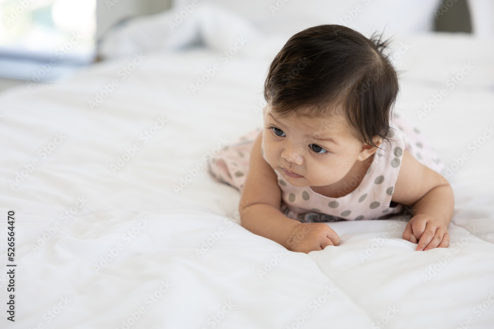 portrait cute baby crawling on bed and looking to something portrait cute baby crawling on bed and looking to something