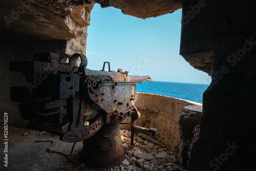 Fényképezés Artillery Cannon in Abandoned  Military Base Raketna Baza Stupišće, Vis Croatia