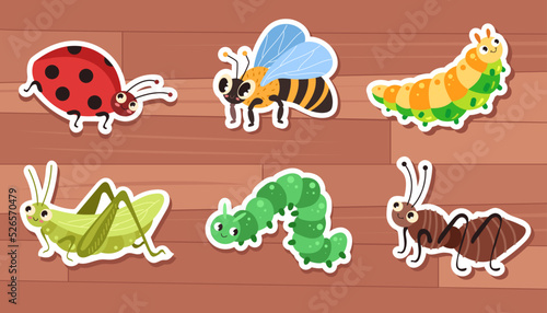 Cartoon animal insects beetle fly bugs stickers isolated set. Vector graphic design illustration
