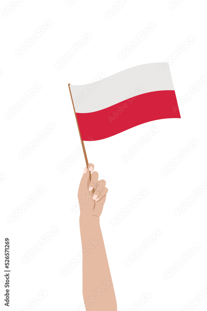 Biało-czerwona flaga w uniesionej dłoni. Flaga Polski. Ilustracja wektorowa. - obrazy, fototapety, plakaty 