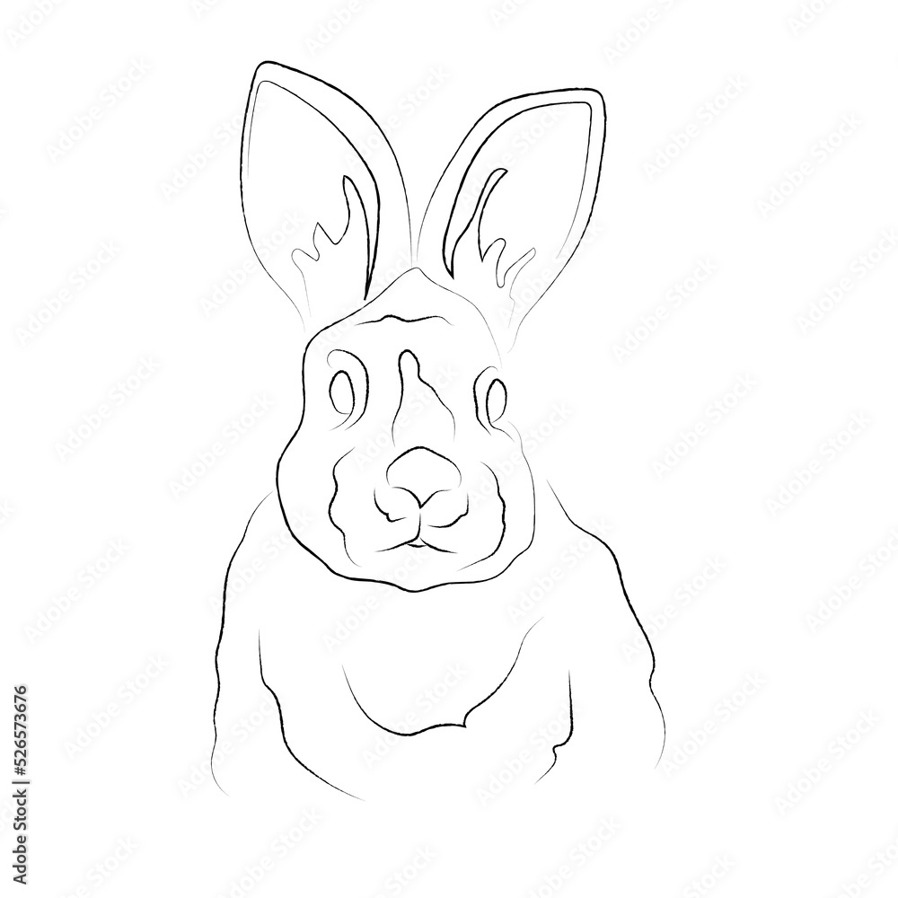 Fototapeta premium Cute little rabbit, bunny, black and white line art, one line art