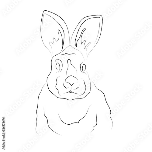 Cute little rabbit, bunny, black and white line art, one line art