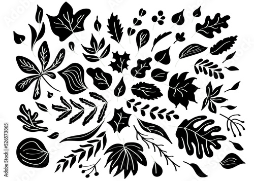 Silhouette of decorative leaves and branches with white veins. Isolated vector floral elements.