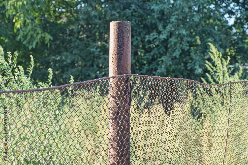 Fototapeta premium part of a fence wall made of brown rusty metal mesh on an iron post on a rural street against the backdrop of green vegetation