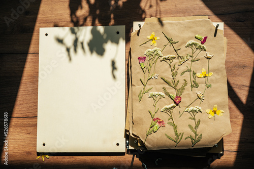 Dry pressed plants and flowers on a wooden table. DIY, hobby