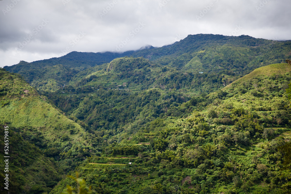 Large forest mountain valley. The tops of the mountains are covered with rainforest. Mountain landscape, nature of the Philippines.