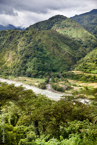 Beauty nature landscape. River in a mountain gorge. Water flow. Tropical trees and mountain river in the Jungle. The nature of the Philippines.