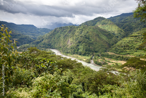 Beauty nature landscape. River in a mountain gorge. Water flow. Tropical trees and mountain river in the Jungle. The nature of the Philippines.