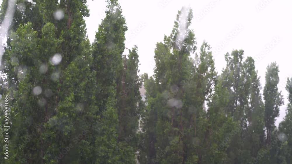 Green trees outside the window. Strong wind. It's raining. Rain season. Hurricane. Raindrops on glass. Weather conditions. Summer. Grey sky. Green trees outside the window. Strong wind. It's raining. Rain season. Hurricane. Raindrops on glass. Weather conditions. Summer. Grey sky.