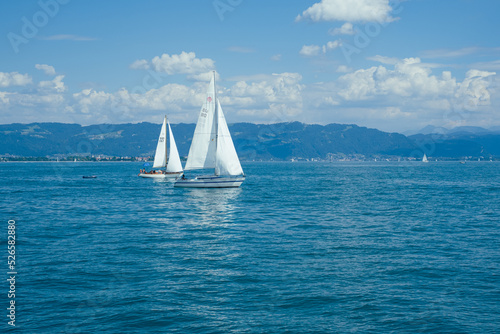 Two boats with white sails on the bodensee in Switzerland. It is a sunny day with a blue sky. 