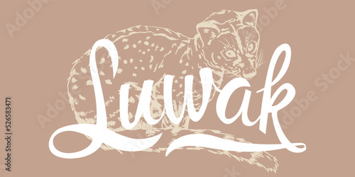 horizontal banner Hand drawn realistic sketch of asian Luwak or toddy cat for your brand  cafe or shop.