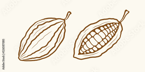 Vector vintage illustration of of cocoa. Vector set icons of cocoa in hand drawing style.