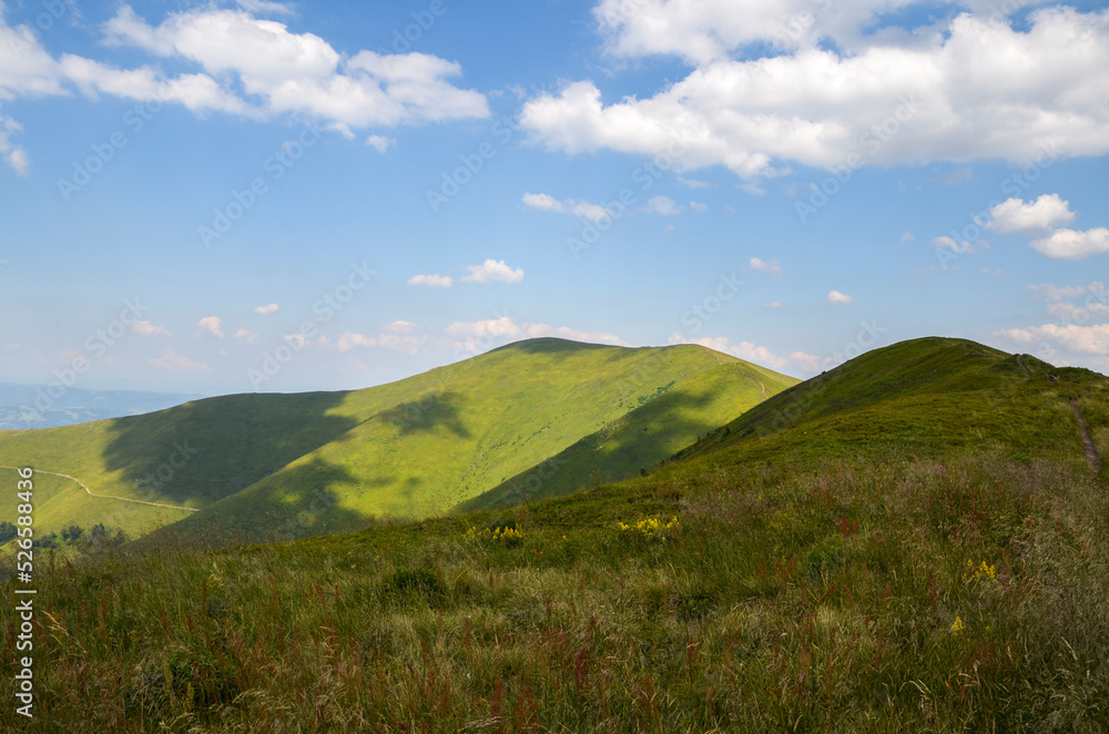 Grassy green hills and slopes at ridge of Borzhava under blue sky with clouds on summer day. Carpathian Mountains, Ukraine
