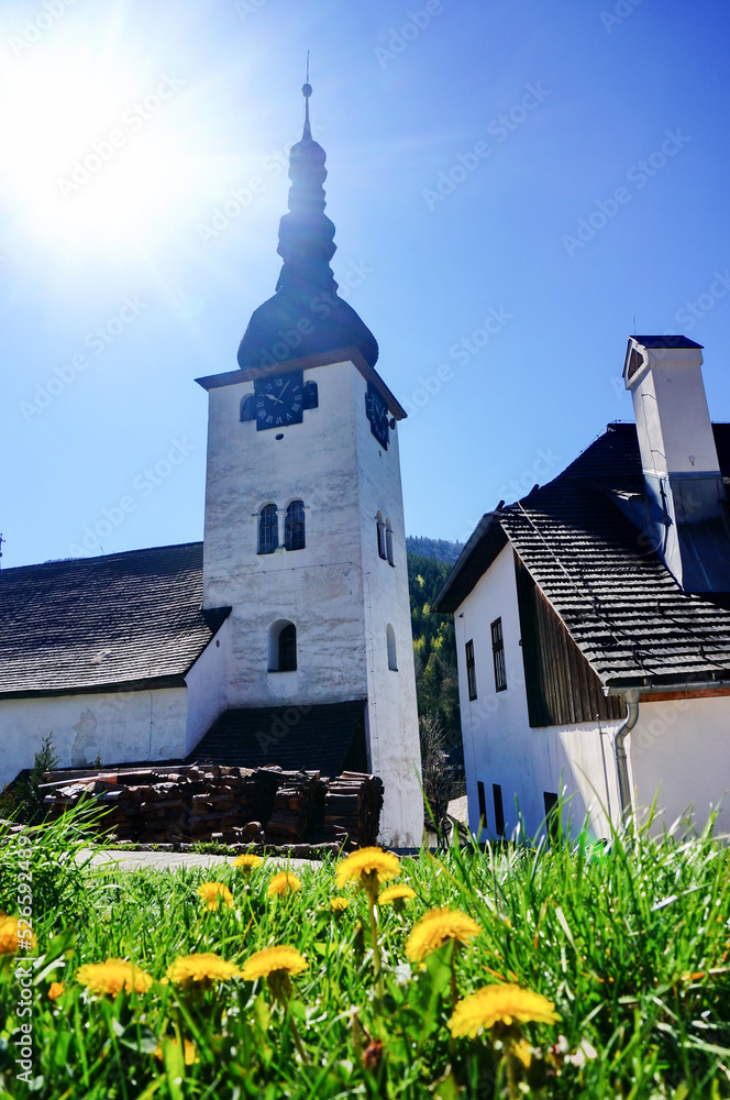 Medieval church in Spania dolina, Slovakia, during spring sunny day, with yellow dandelions in the foreground - obrazy, fototapety, plakaty 