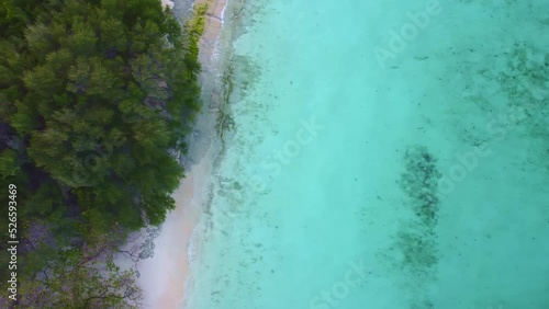 Wallpaper Mural a view from above of a sandy beach on an island in the ocean.  Torontodigital.ca