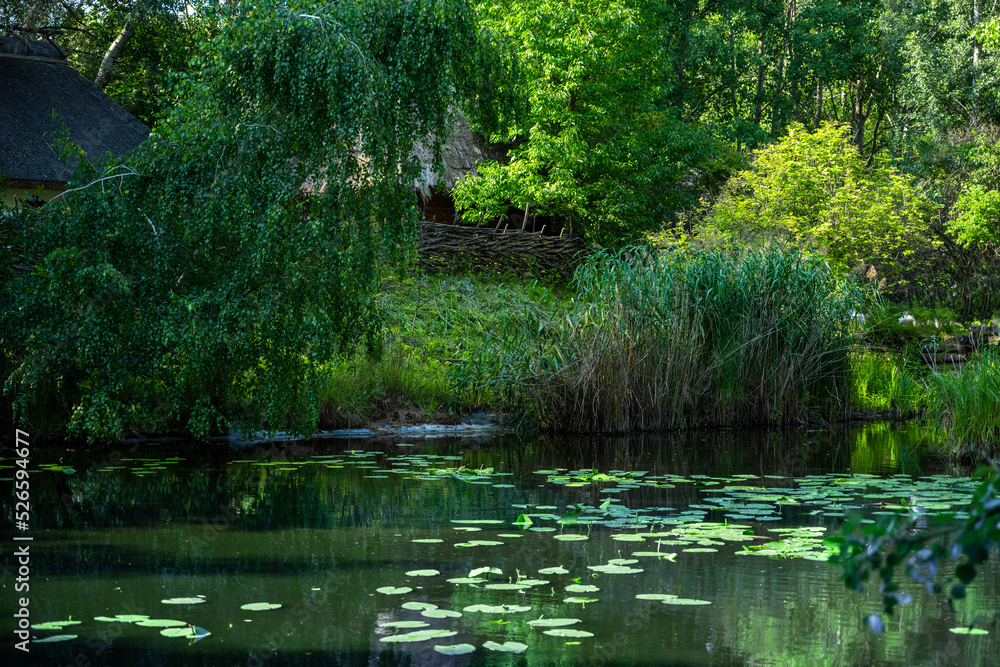 Lake with a bridge. Cozy rest. Abandoned reservoir. Leisure time in nature. Bridge in the swamp Lake with a bridge. Cozy rest. Abandoned reservoir. Leisure time in nature. Bridge in the swamp