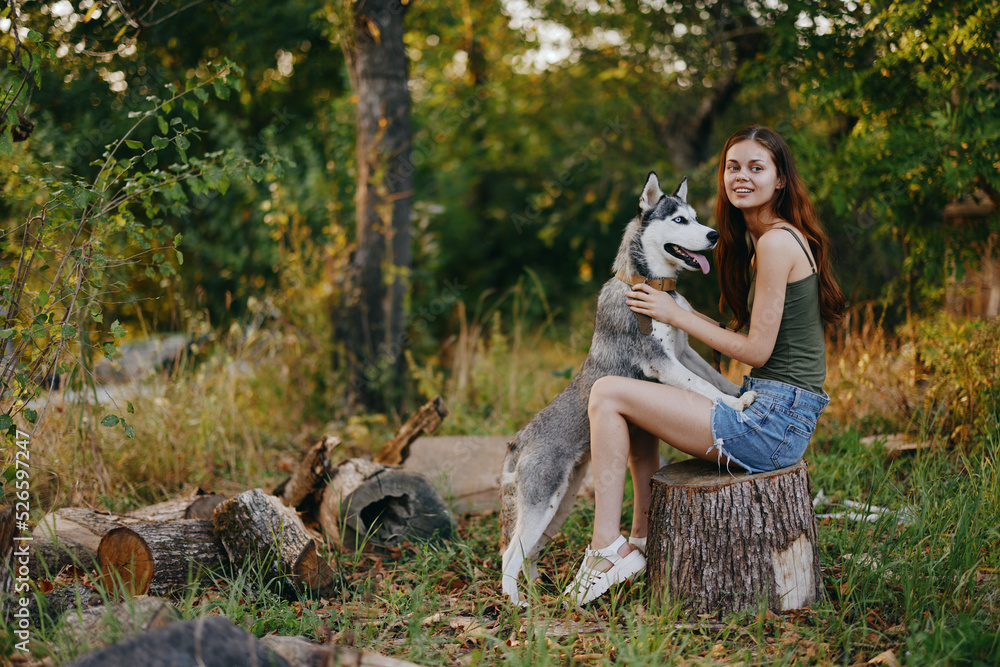 Fototapeta premium A young woman walks with a husky dog ​​in the forest sitting on a stump near an old village house in the forest among the trees