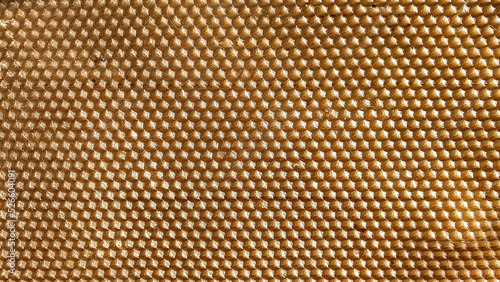 Honeycomb close-up. Reticulated hexagon.