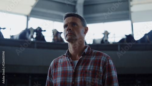 Photography Portrait farmer standing milking parlour watching automated system getting milk