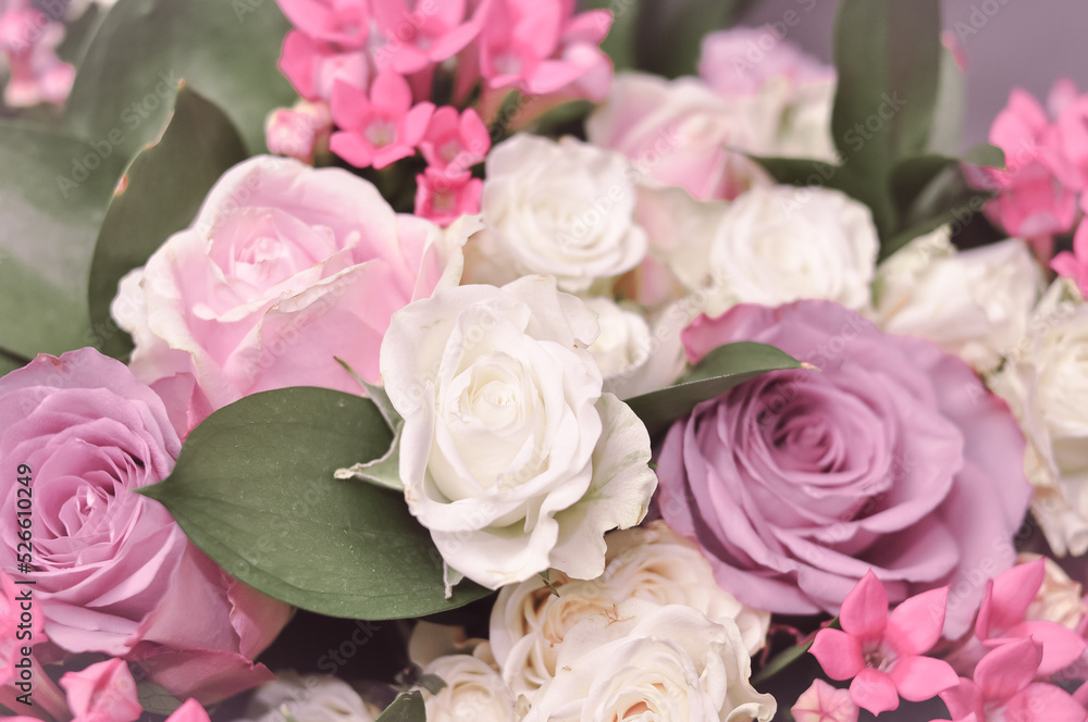 Close up of fresh pink,white and violet roses bouquet, gift for women