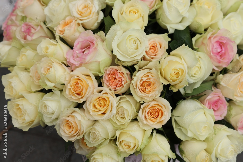 Bouquet of different beautiful roses, closeup view