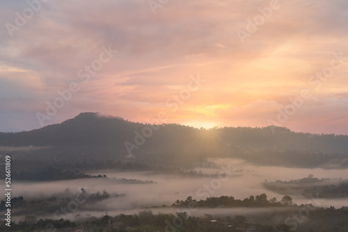 sunrise on the fog city, the mist of city, view from top of moutain. The sun, the fog, rays through the houses and the pines