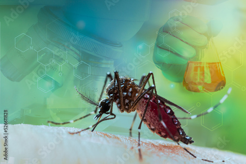 фотографія Aedes aegypti mosquito with vial DHF vaccine concept for vaccine anti mosquitoes