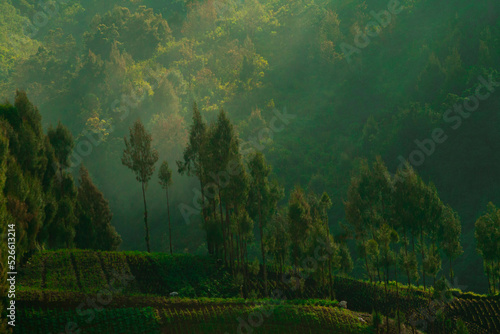 photo of rural scenery in Indonesia, village in the mountains in Indonesia