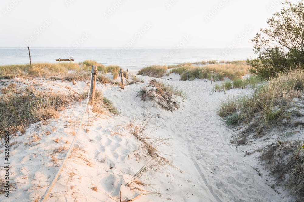 zejście nad morską plażę. Morze Bałtyckie - obrazy, fototapety, plakaty 