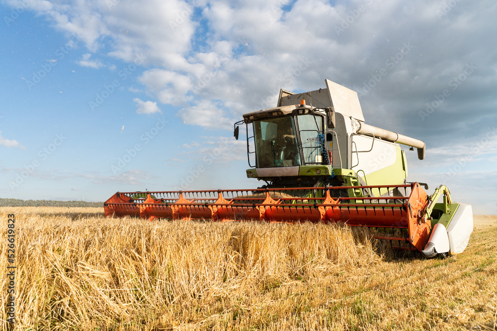 The combine harvester harvests ripe wheat. Ripe ears of the golden field against the blue sky. The concept of a rich harvest. Image of agriculture. The combine harvester harvests ripe wheat. Ripe ears of the golden field against the blue sky. The concept of a rich harvest. Image of agriculture.