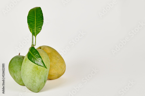 Three Chausa mangoes on a white background