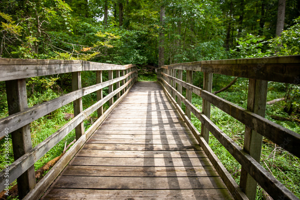 A boardwalk along a hiking path in a Provincial Park in Ontario, Canada.